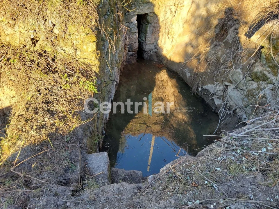 Quinta T0 para Venda em Mangualde, Mesquitela e Cunha Alta Foto 16