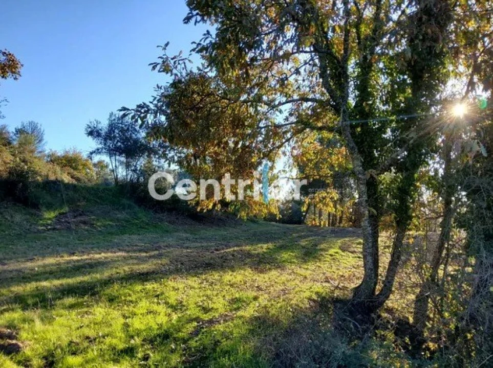Quinta T0 para Venda em Mangualde, Mesquitela e Cunha Alta Foto 20