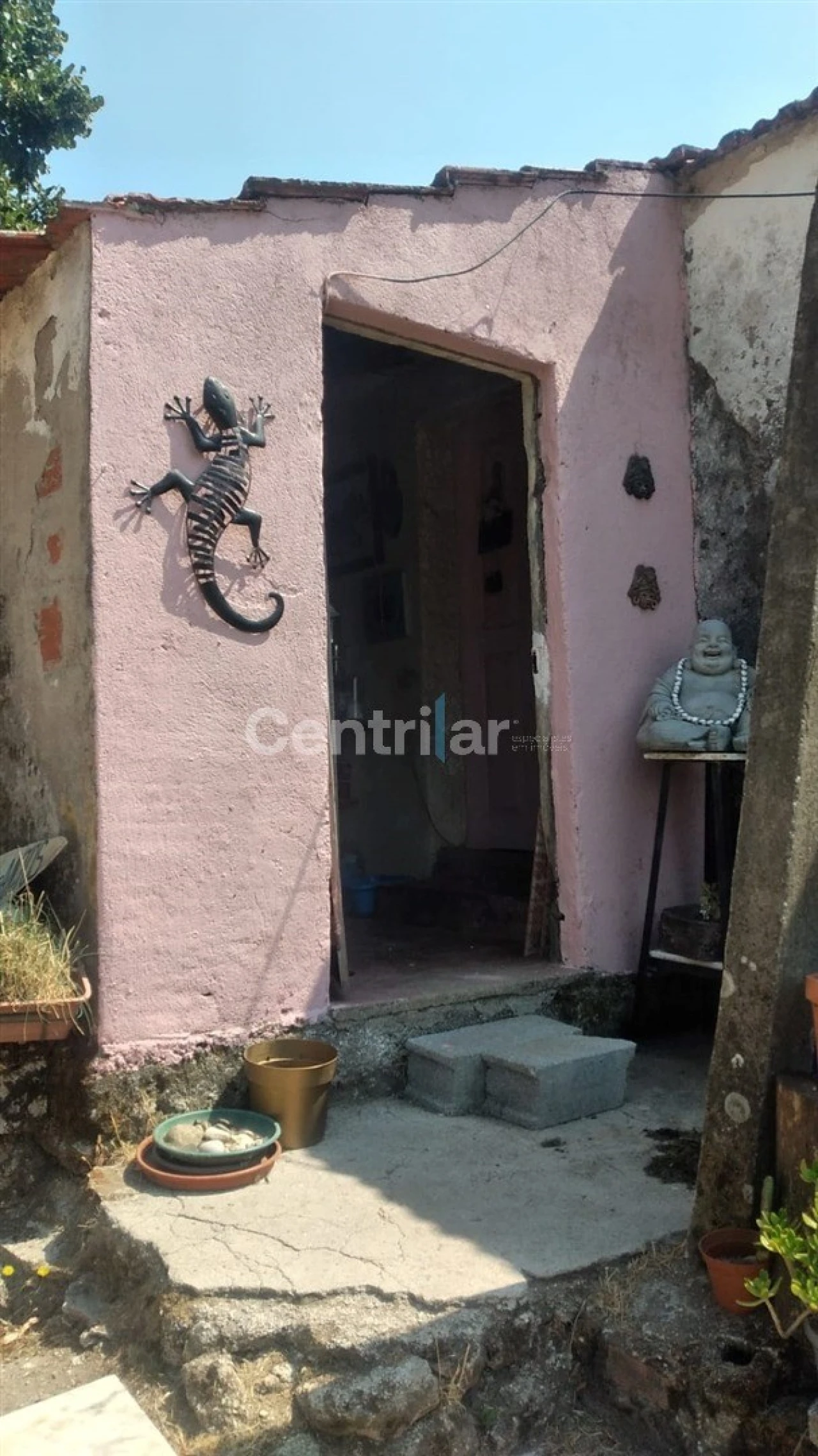 Quinta T0 para Venda em Mangualde, Mesquitela e Cunha Alta Foto 5