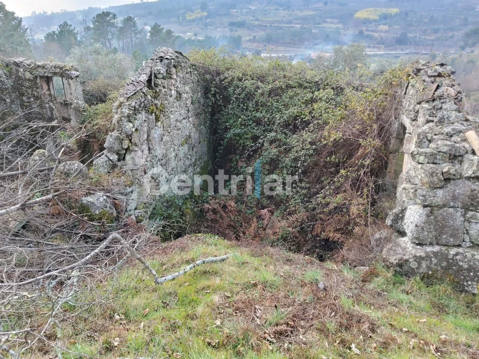 Quinta T0 para Venda em Mangualde, Mesquitela e Cunha Alta Foto 22
