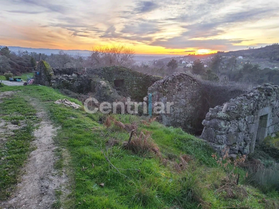 Quinta T0 para Venda em Mangualde, Mesquitela e Cunha Alta Foto 10