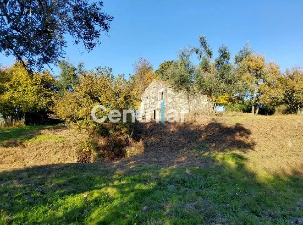 Quinta T0 para Venda em Mangualde, Mesquitela e Cunha Alta Foto 11