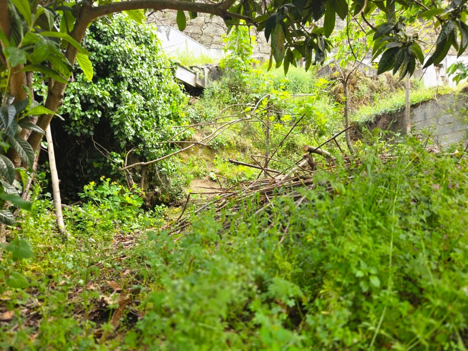 Moradia T3 para Venda em Lamego (Almacave e Sé) Foto 16