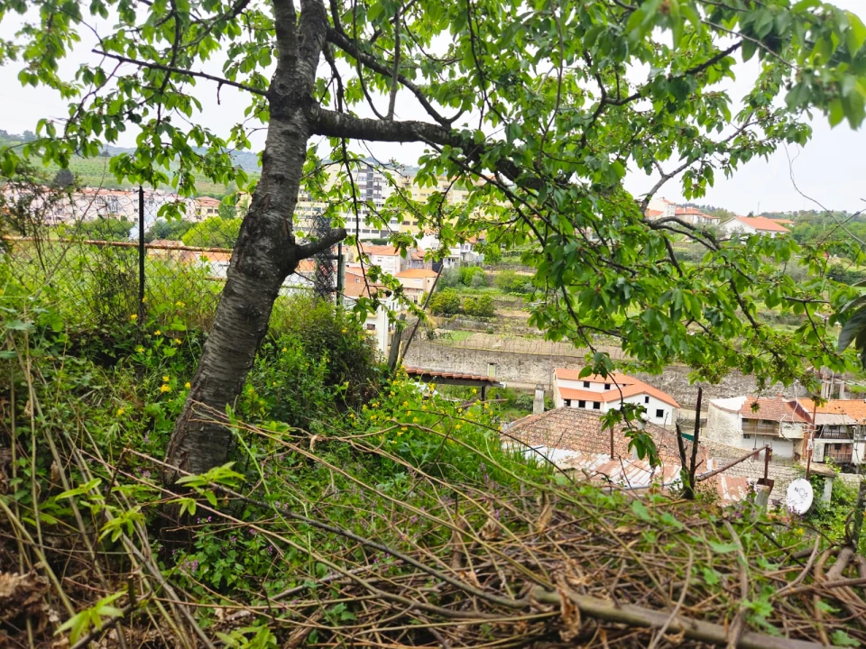 Moradia T3 para Venda em Lamego (Almacave e Sé) Foto 14