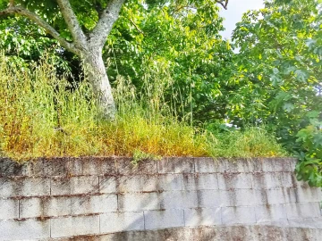 Moradia T0 para Venda em Varzea de Abrunhais