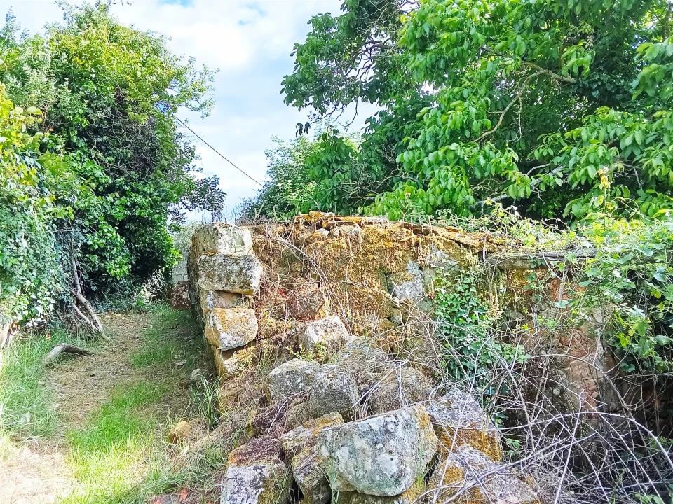 Moradia T0 para Venda em Varzea de Abrunhais Foto 1