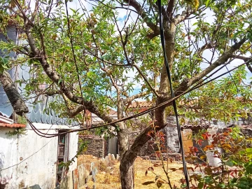 Moradia T6 para Venda em São João da Pesqueira e Várzea de Trevões
