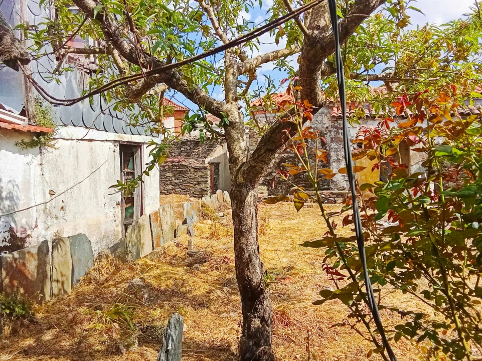Moradia T6 para Venda em São João da Pesqueira e Várzea de Trevões Foto 8