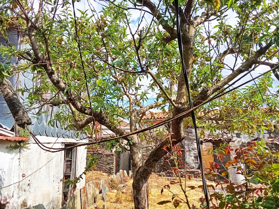 Moradia T6 para Venda em São João da Pesqueira e Várzea de Trevões Foto 11