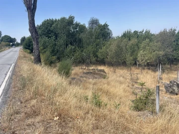 Terreno Agricola ou Rústico para Venda em Nespereira
