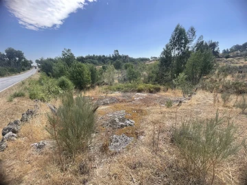 Terreno Agricola ou Rústico para Venda em Nespereira