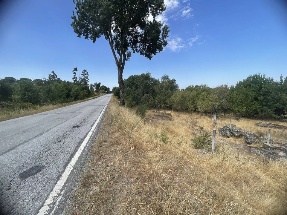 Terreno Agricola ou Rústico para Venda em Nespereira Foto 1