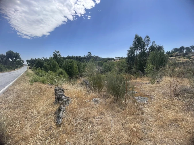 Terreno Agricola ou Rústico para Venda em Nespereira Foto 4
