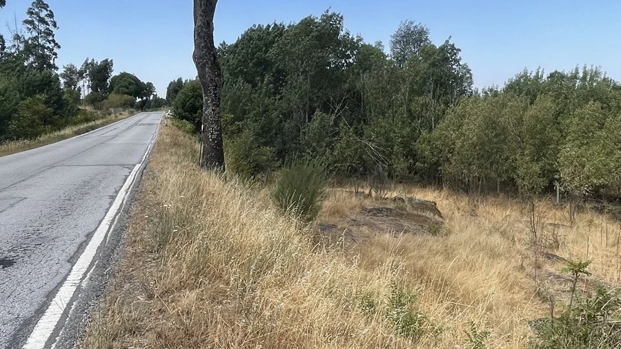 Terreno Agricola ou Rústico para Venda em Nespereira