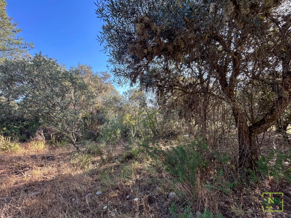 Terreno Agricola ou Rústico para Venda em Aranhas Foto 30