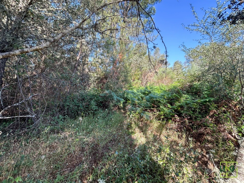 Terreno Agricola ou Rústico para Venda em Aranhas Foto 28