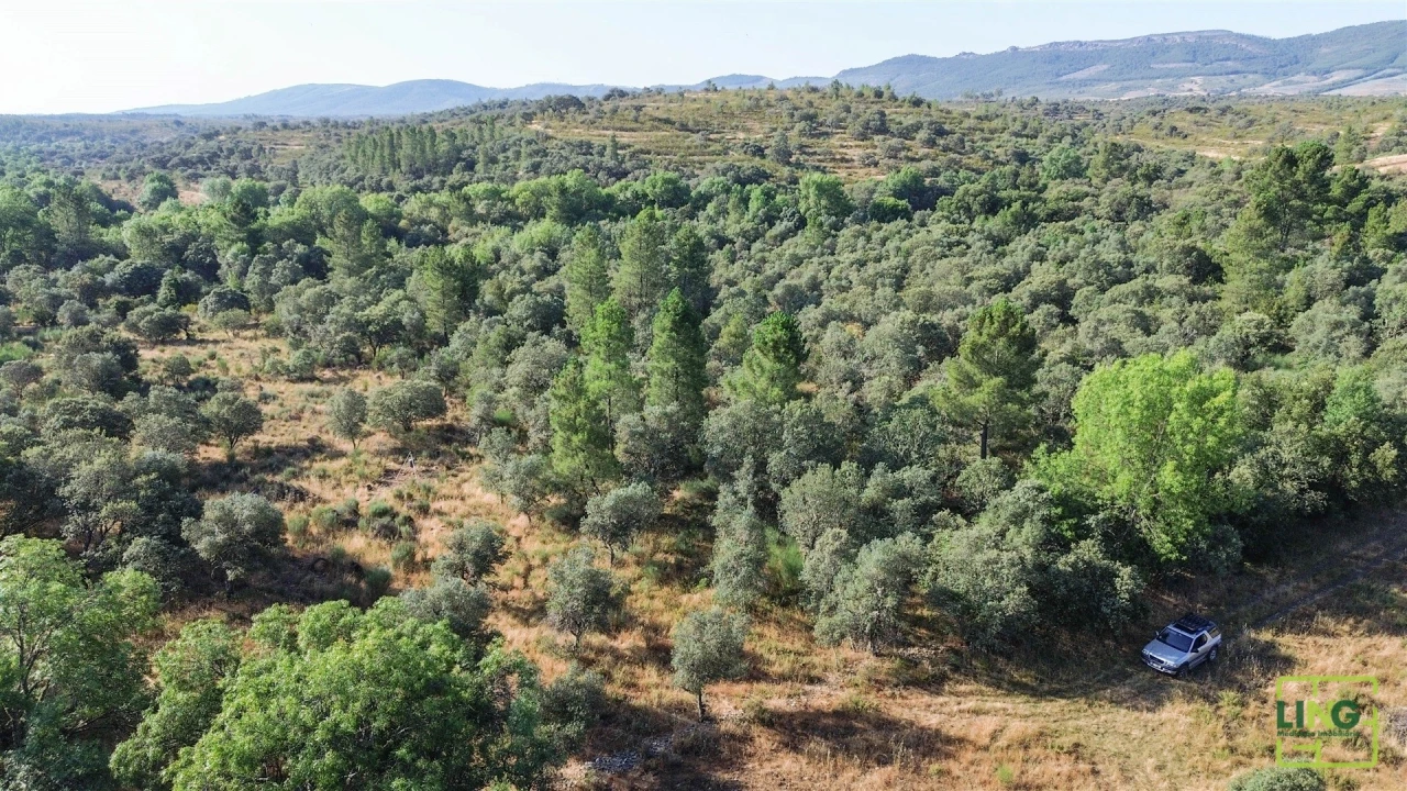 Terreno Agricola ou Rústico para Venda em Aranhas Foto 3