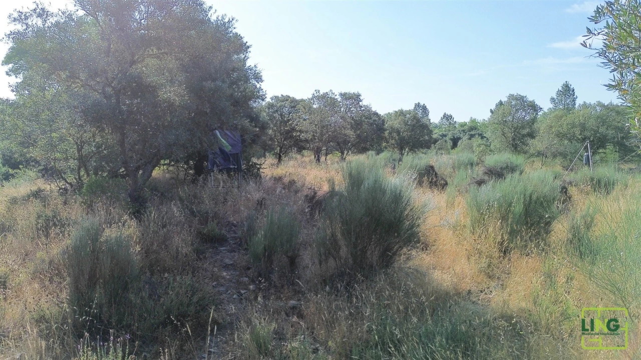 Terreno Agricola ou Rústico para Venda em Aranhas Foto 24
