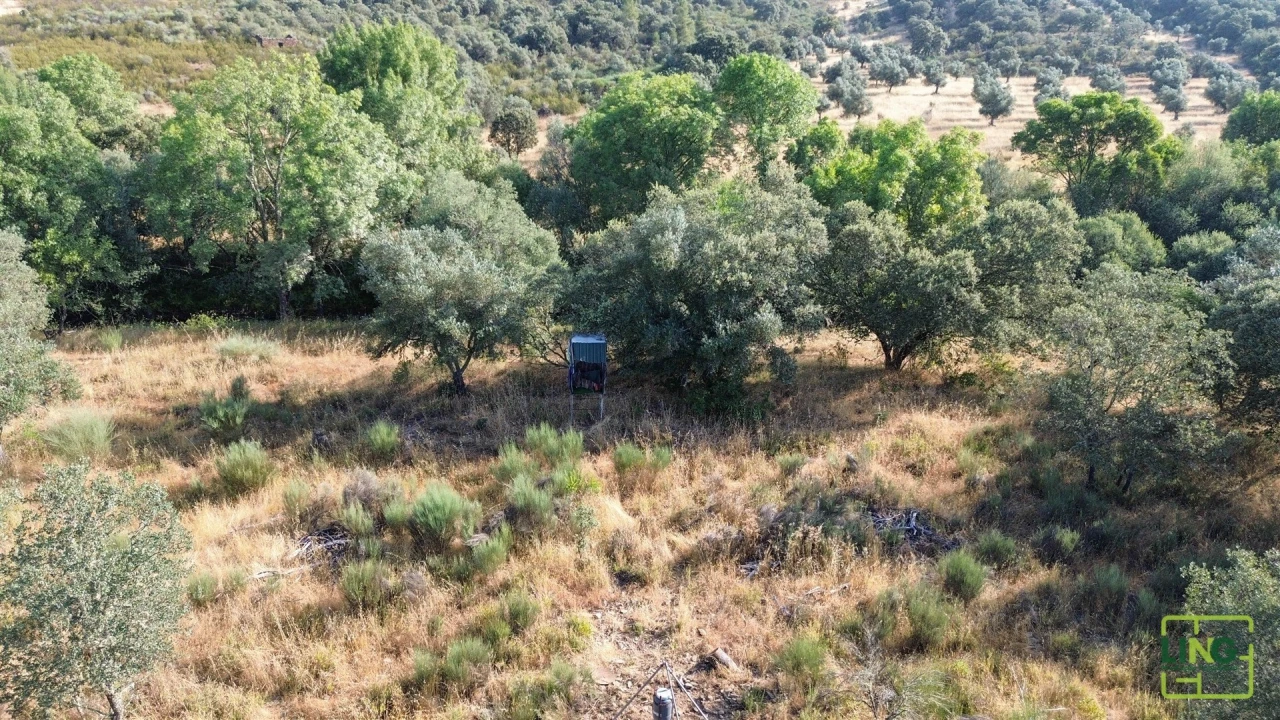 Terreno Agricola ou Rústico para Venda em Aranhas Foto 11