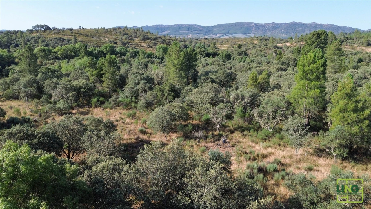 Terreno Agricola ou Rústico para Venda em Aranhas Foto 14