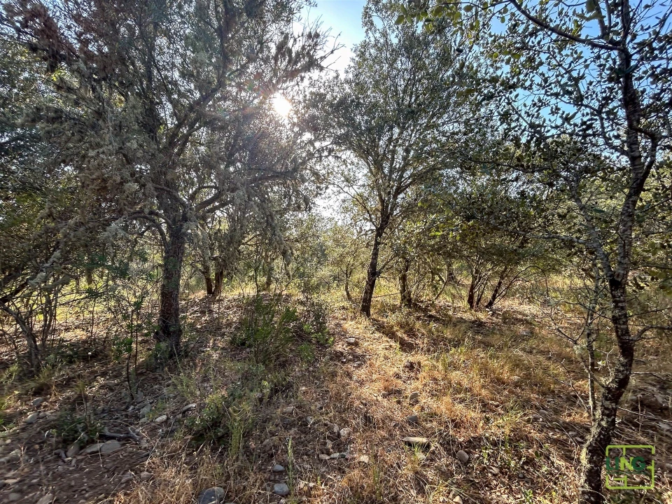 Terreno Agricola ou Rústico para Venda em Aranhas Foto 29