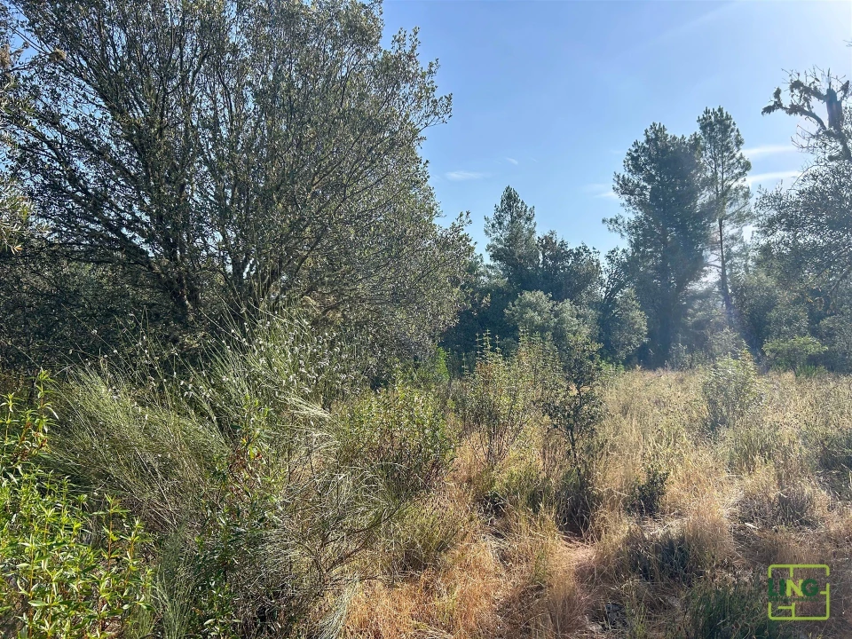 Terreno Agricola ou Rústico para Venda em Aranhas Foto 35