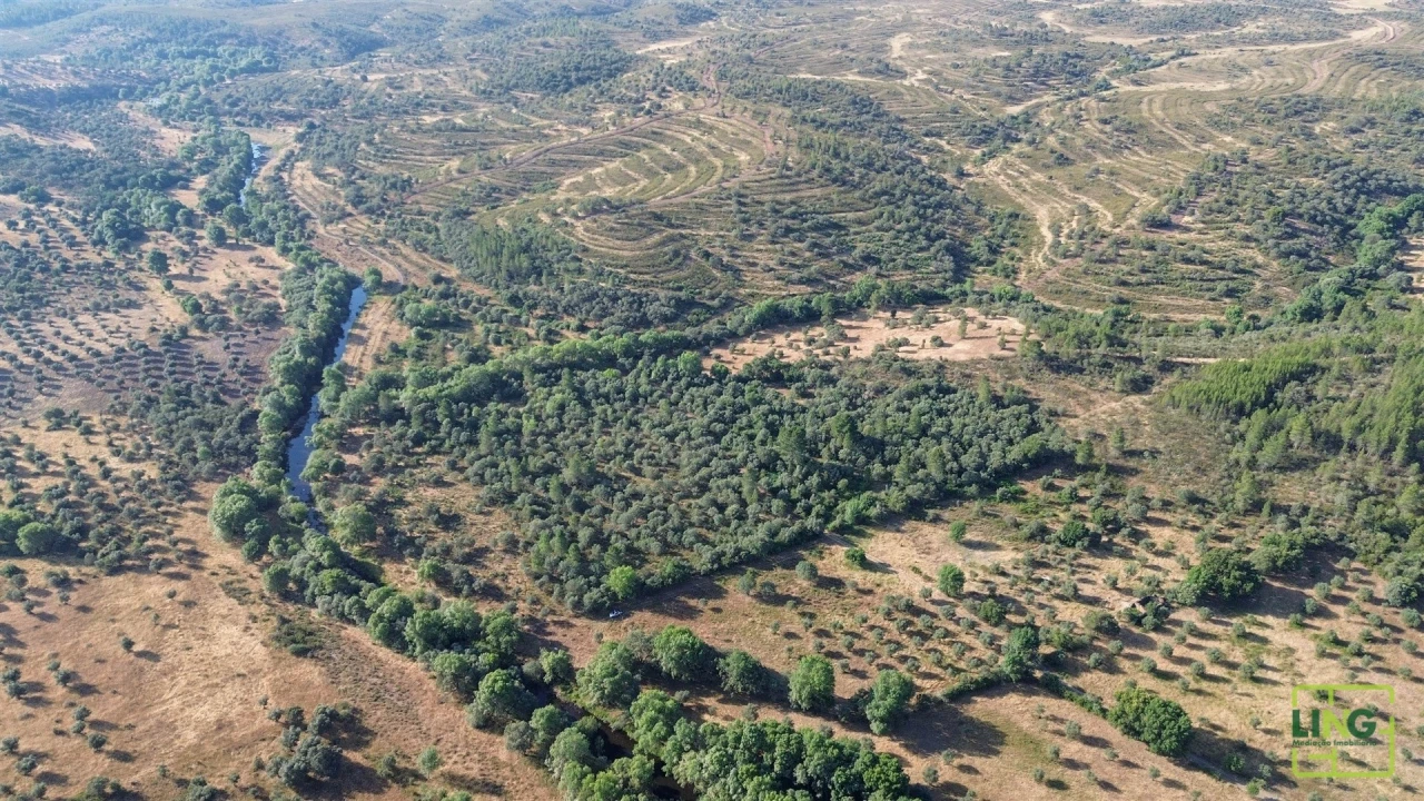 Terreno Agricola ou Rústico para Venda em Aranhas Foto 7