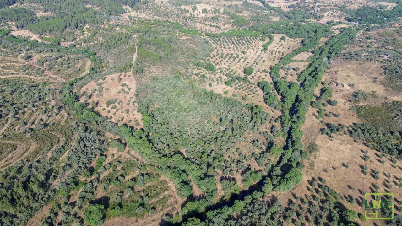 Terreno Agricola ou Rústico para Venda em Aranhas Foto 18