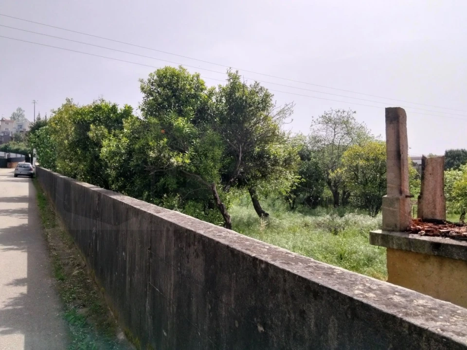 Terreno para Venda em Albergaria-A-Velha e Valmaior Foto 1