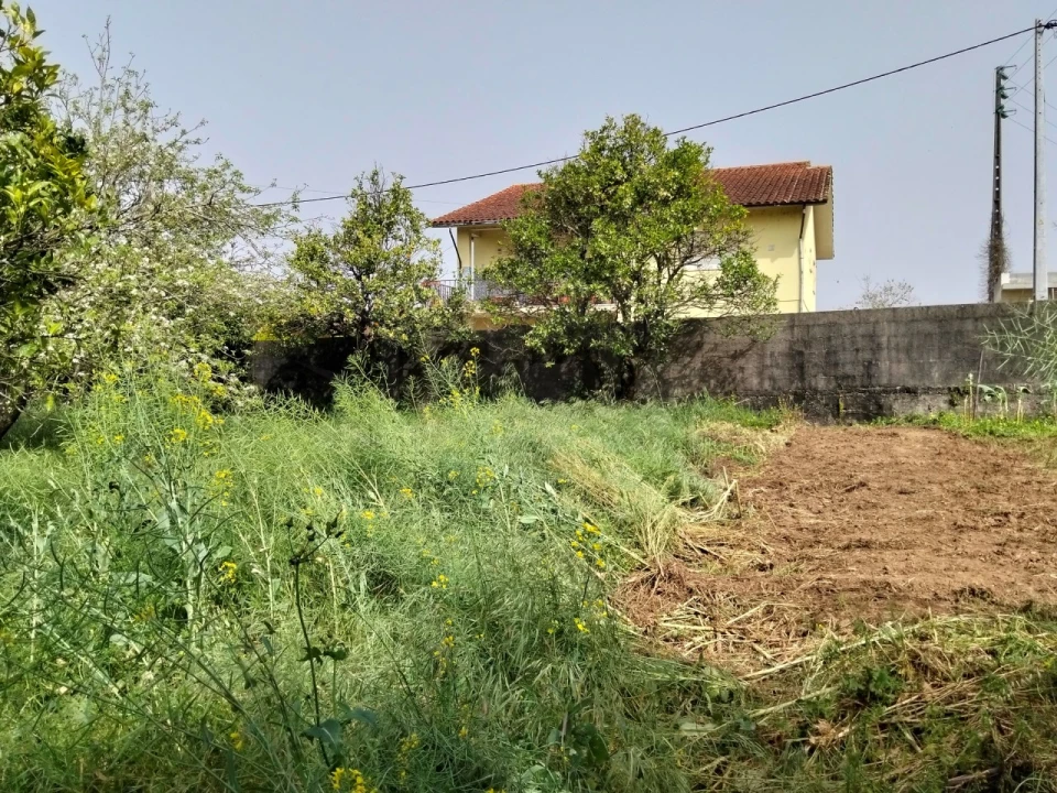 Terreno para Venda em Albergaria-A-Velha e Valmaior Foto 5