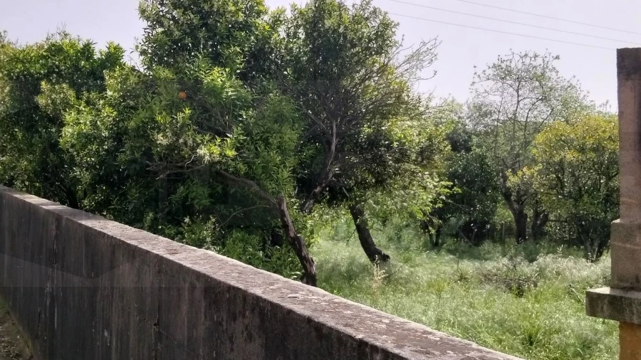 Terreno para Venda em Albergaria-A-Velha e Valmaior