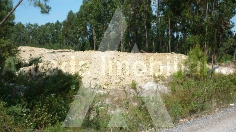 Terreno para Venda em Bustos, Troviscal e Mamarrosa