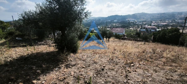 Terreno para Venda em Martinchel