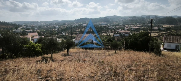 Terreno para Venda em Martinchel