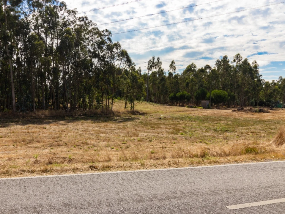 Terreno para Venda em Arazede Foto 3