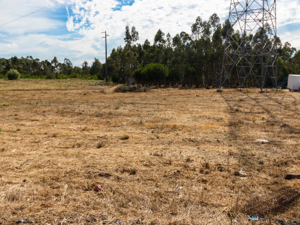 Terreno para Venda em Arazede Foto 5