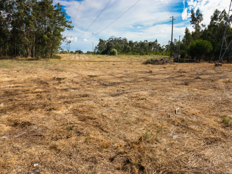 Terreno para Venda em Arazede Foto 8