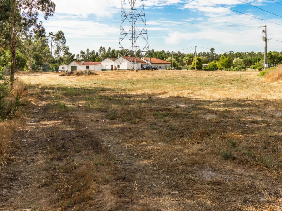 Terreno para Venda em Arazede Foto 11