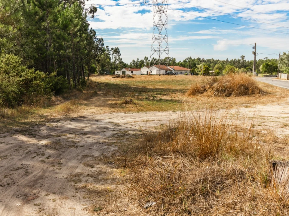 Terreno para Venda em Arazede Foto 13