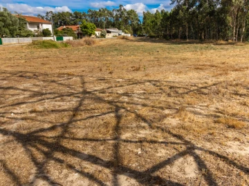 Terreno para Venda em Arazede