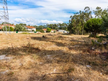 Terreno para Venda em Arazede
