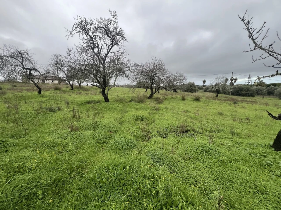 Terreno para Venda em Lagoa e Carvoeiro Foto 1