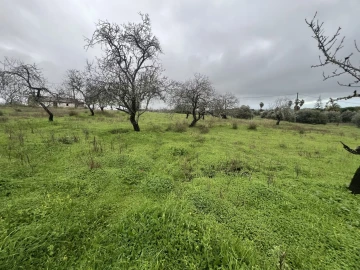 Terreno para Venda em Lagoa e Carvoeiro