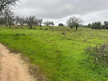 Terreno para Venda em Lagoa e Carvoeiro