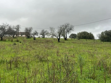Terreno para Venda em Lagoa e Carvoeiro