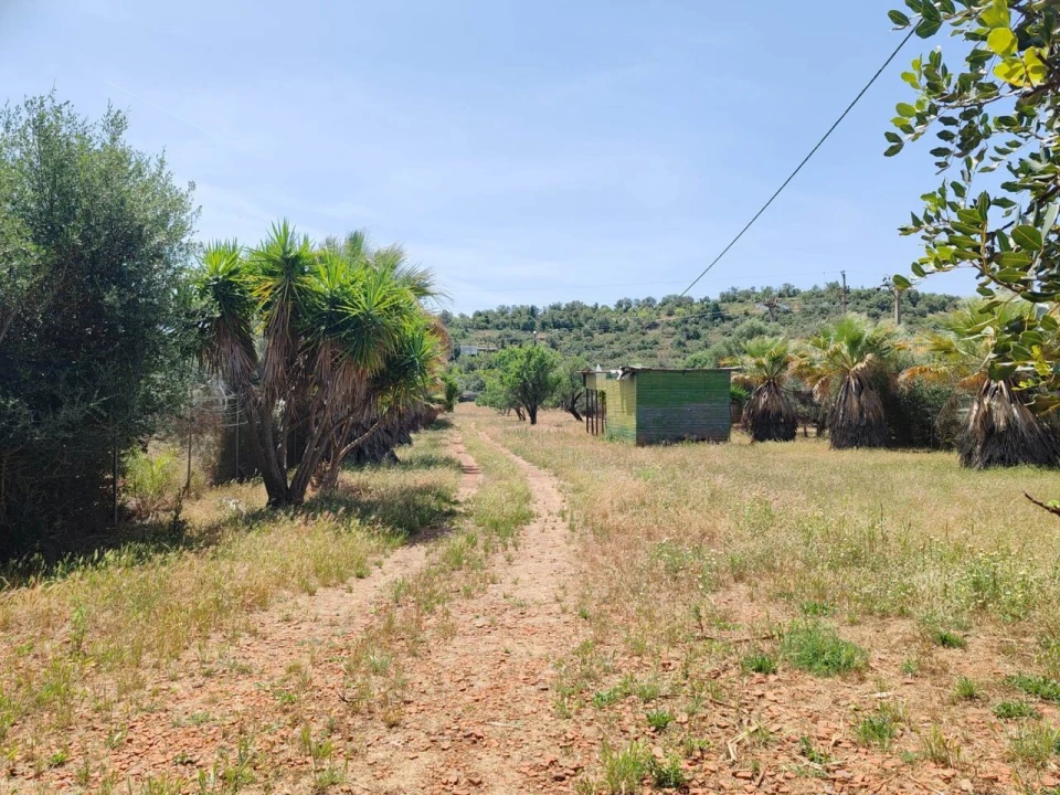 Terreno para Venda em Paderne Foto 3