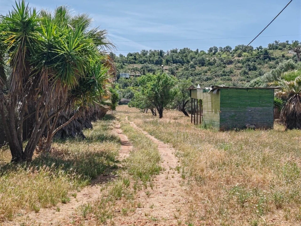 Terreno para Venda em Paderne Foto 19