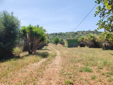 Terreno para Venda em Paderne