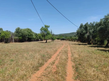 Terreno para Venda em Paderne