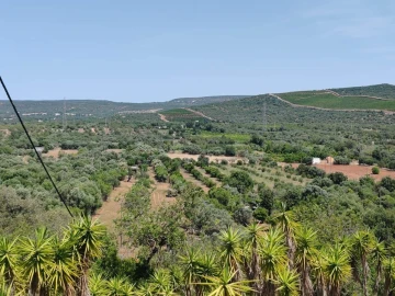 Terreno para Venda em Paderne